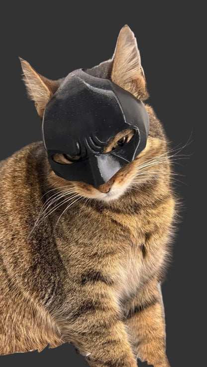 BATMAN MASZK CICÁKNAK