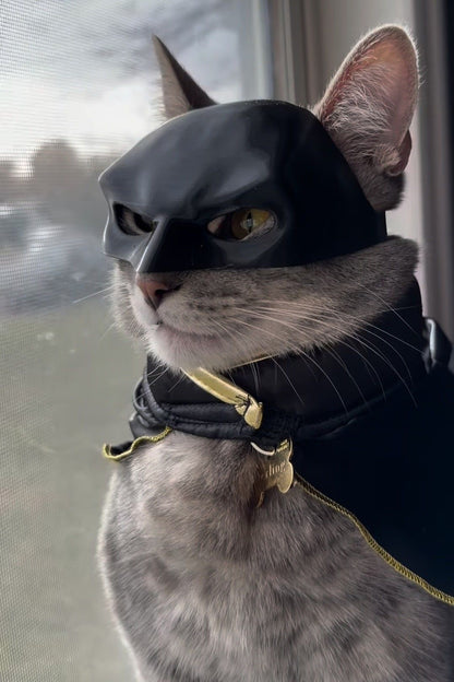 BATMAN MASZK CICÁKNAK