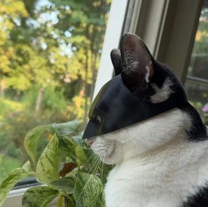 BATMAN MASZK CICÁKNAK